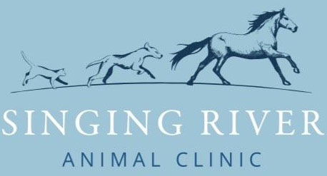 Singing River Animal Clinic